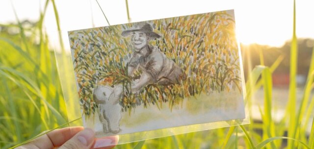 光頭仔，向8117隆平星球出发